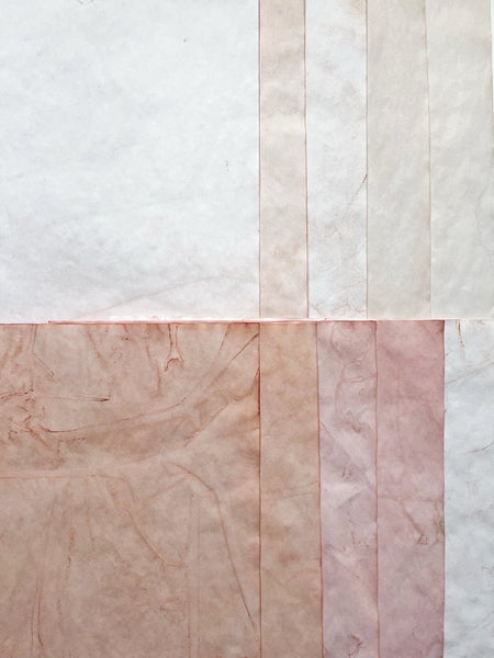 Avocado Dyed Paper Pack: Dark to Light Pink Variations