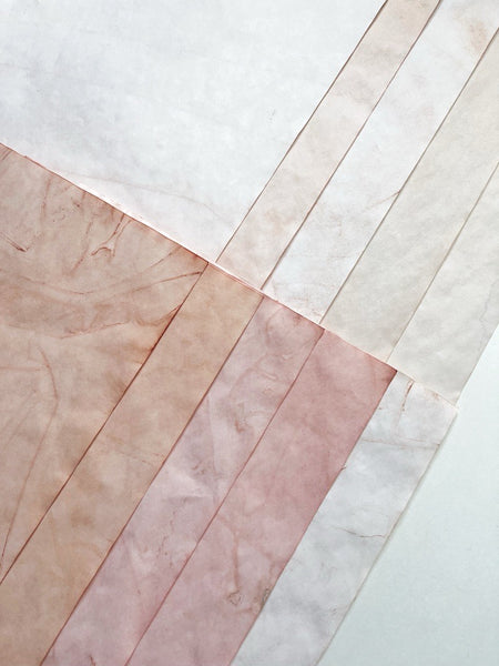 Avocado Dyed Paper Pack: Dark to Light Pink Variations