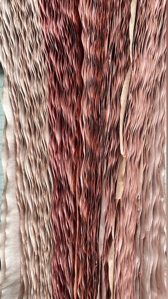 Avocado Dyed Paper Pack: Dark to Light Pink Variations